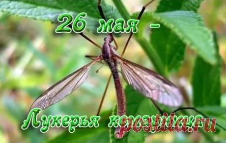 С народным праздником Лукерьи Комарницы! Богатого урожая и хорошей погоды! Открытки на Лукерья Комарница!