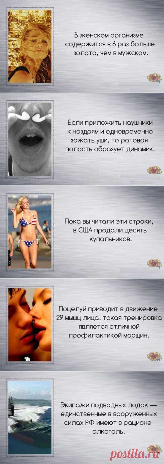 Неизвестные факты обо всём. 
 Здесь собраны удивительные факты на самые разные темы - от землетрясений и метеоритов до психологии и географии.