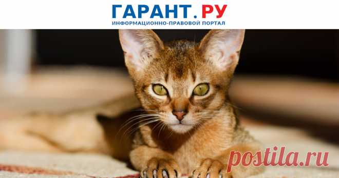 ЗАКОН О ЗАЩИТЕ ПРАВ ПОТРЕБИТЕЛЕЙ можно применять в споре с гражданином-ЗАВОДЧИКОМ ДОМАШНИХ ЖИВОТНЫХ. Районный и региональный суды рассмотрели спор о взыскании убытков, компенсации морального вреда и потребительского штрафа.