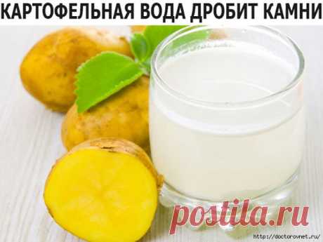 Мочеполовая система и картофельная вода