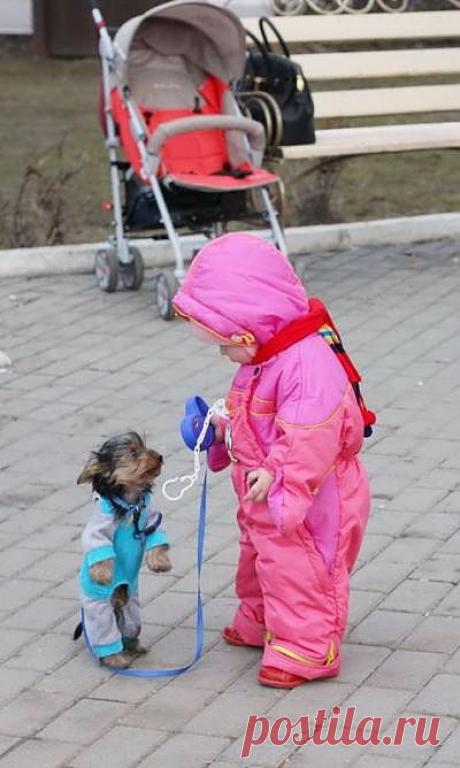 дружбаны