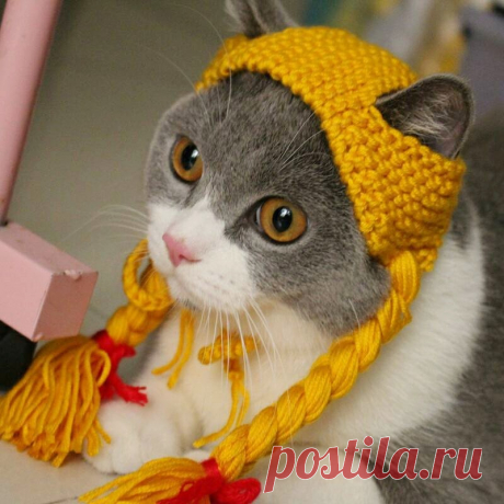 Как вам девочка?