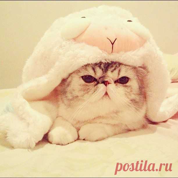 Source: Instagram user mayrilyn | POPSUGAR Pets