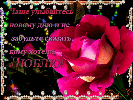 18369715.gif (600×450)