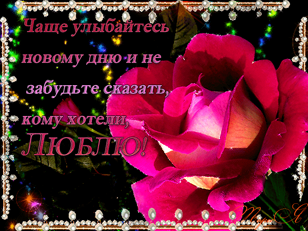 18369715.gif (600×450)