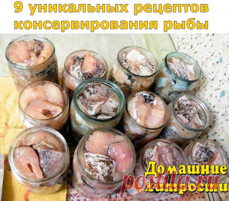 (32) Одноклассники