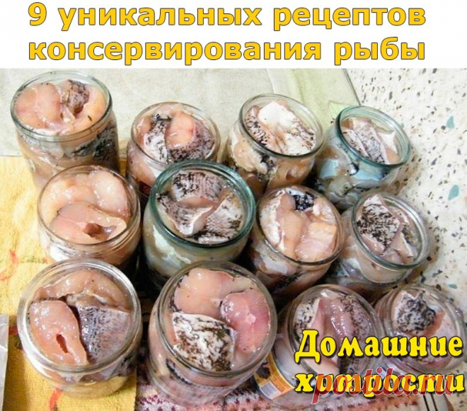 (32) Одноклассники