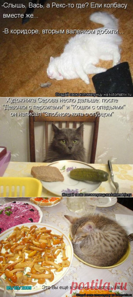 Я - суперпупер! Сайт любителей похвастаться