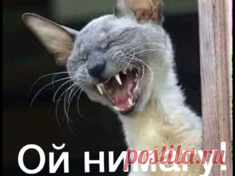 (7) Facebook