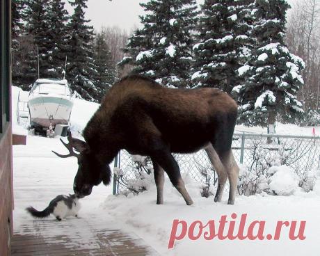 Pinterest • Всемирный каталог идей