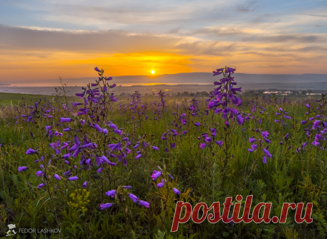 Пейзажи фотографа Федора Лашкова