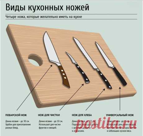 полезные советы инфографика: 4 тыс изображений найдено в Яндекс.Картинках