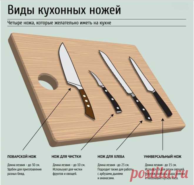 полезные советы инфографика: 4 тыс изображений найдено в Яндекс.Картинках