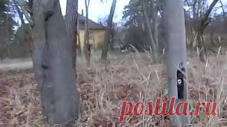 (14) Одноклассники