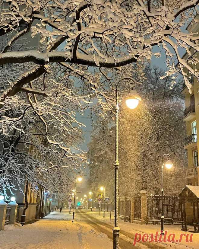 Яндекс Картинки: поиск похожих изображений