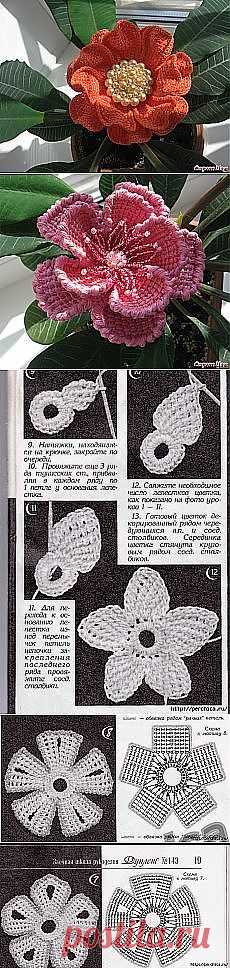 Найдено на сайте postila.ru.