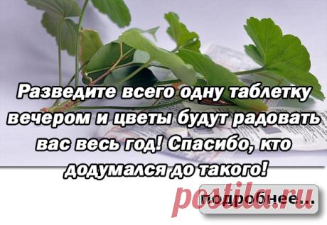 Не вздумайте выбрасывать старую сковороду! Это видео поможет быстро и без мороки сделать ее почти новенькой — Полезные советы