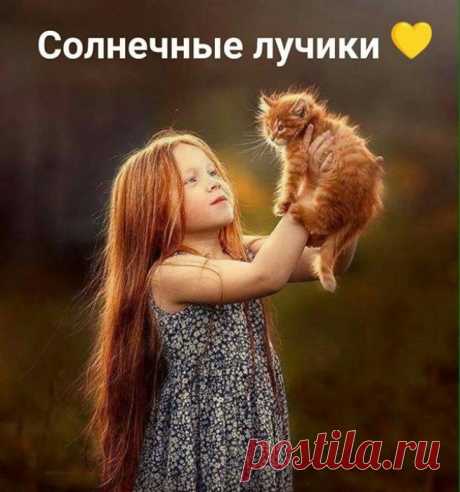 Счастье на ладошках