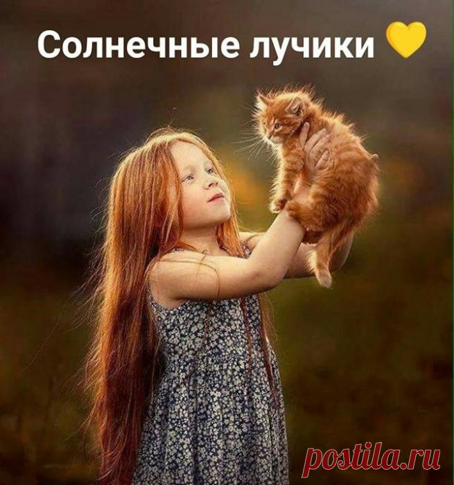 Счастье на ладошках
