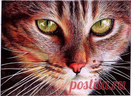 Идеи для творчества. Интересное рукоделие