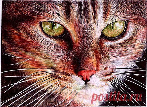 Идеи для творчества. Интересное рукоделие