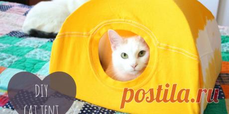 3 Steps To Make A Cat Tent From An Old T-Shirt
