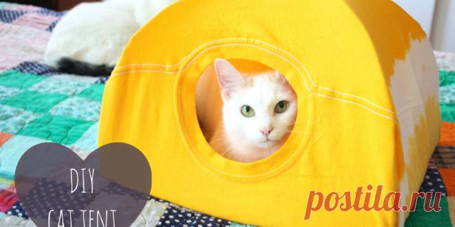 3 Steps To Make A Cat Tent From An Old T-Shirt
