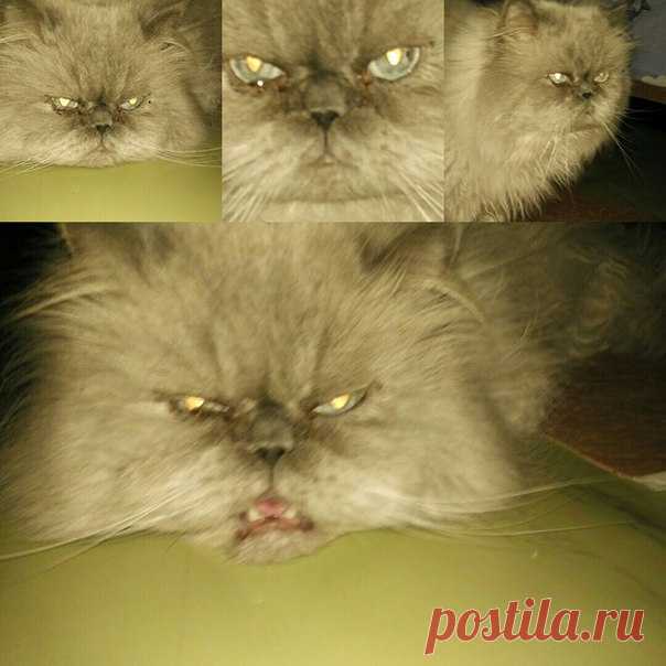Хотя не очень я красив, но очень добр душою.