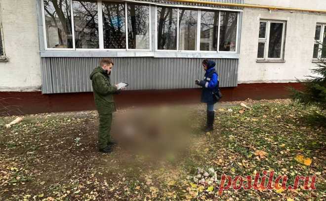 В Москве 89-летнего пенсионера заподозрили в расчленении супруги. Около одного из жилых домов по улице Маршала Тухачевского на западе Москвы обнаружили части тела женщины, в убийстве подозревают ее 89-летнего мужа, сообщает столичный главк Следственного комитета.