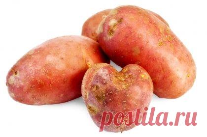 Как избавиться от отеков и кругов под глазами? | Секреты красоты | Здоровье | Аргументы и Факты