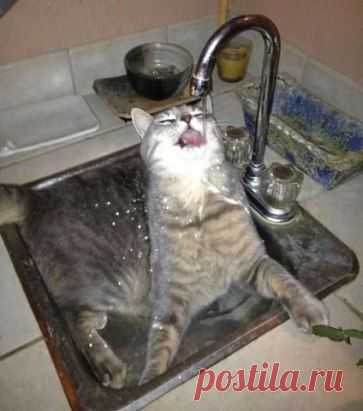 Имидж - ничто, жажда - все!