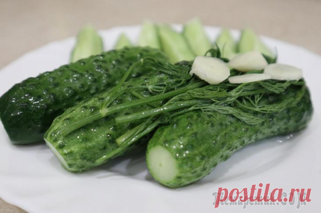Хрустящие малосольные огурцы на минералке Очень вкусные и хрустящие малосольные огурцы на минеральной воде. Готовятся очень быстро. Готовые результат через сутки. Они бесподобны – хрустящие и чесночные малосольные огурчики! Рекомендую.Ингреди...