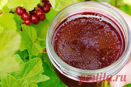 Как приготовить желе из красной смородины? | Краше Всех