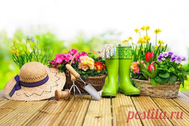 Полезные советы для прекрасных дачниц