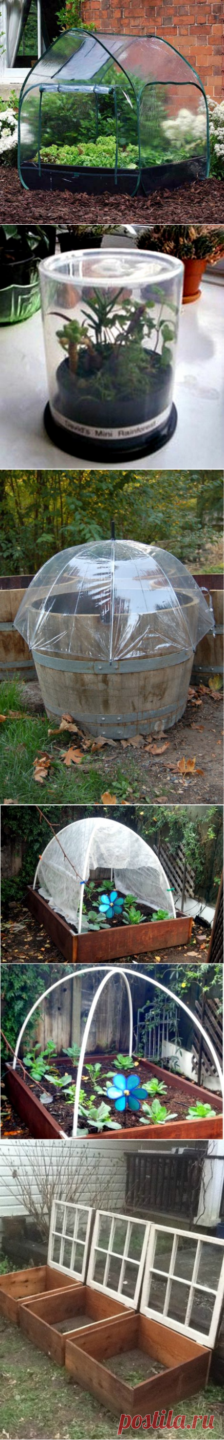 Тепличные идеи