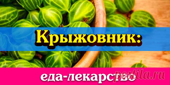 Крыжовник: еда-лекарство | Полезные советы