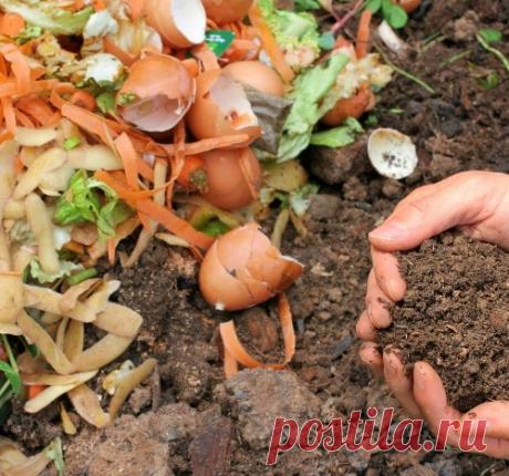 Праздничные отходы весной на огороды!