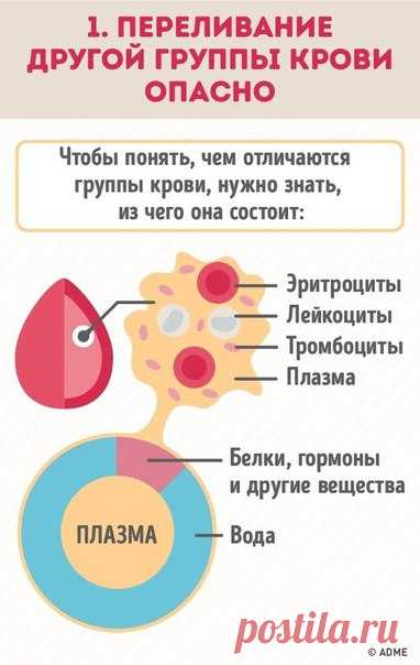 Почему нужно знать группу крови всех членов семьи?