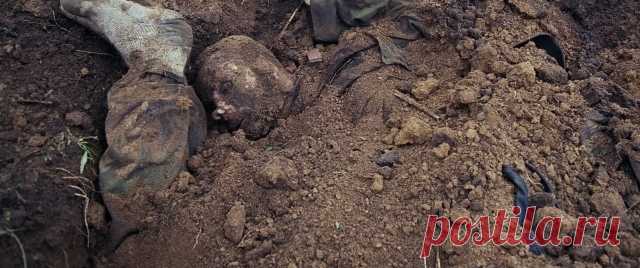 Никогда больше. Сотрите надпись «Можем повторить!». Самой мысли о возможности любой новой войны нет места ни в праздники, ни в будни