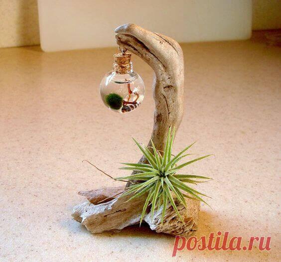 Миниатюрный аквариум как элемент декора