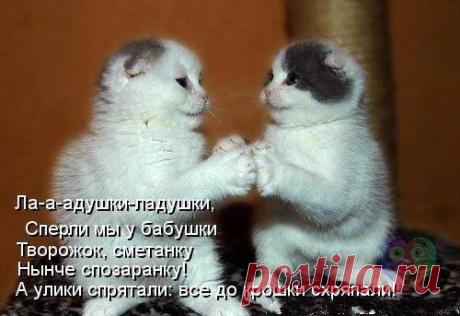 (59) Александра Скрынник