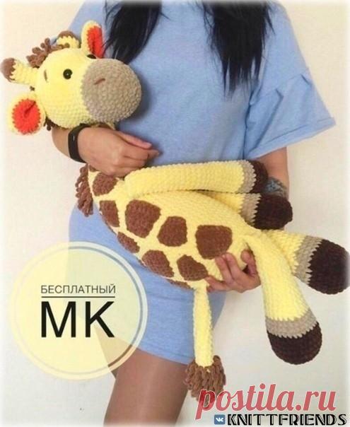 ​Жирафик очень большого размера