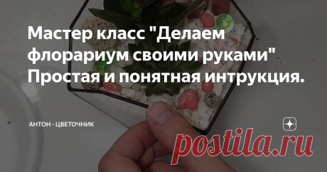 Мастер класс "Делаем флорариум своими руками" Простая и понятная интрукция.