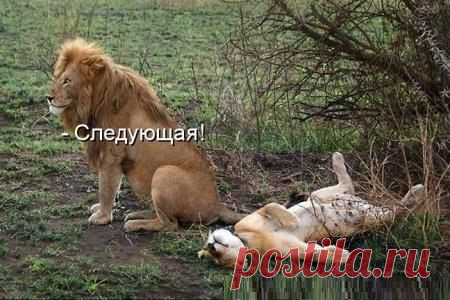 Интересные новости