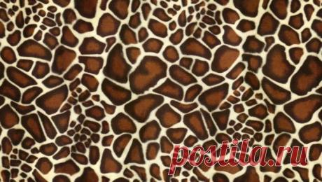 Военные технологии будущего / Научный хит