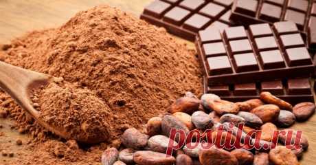 Шоколадный торт с орехами – рецепт: описание и фото