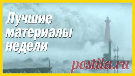 Подборка лучших материалов за неделю — лучшее чтиво на вечер. 1. Видео. Землетрясение в Новой Зеландии сделало дно океана сушей: 2. Видео. Нападение мурены на осьминога: 3. Видео. Огромные волны накрывают 23-метровый маяк: 4. Мумия двух крокодилов оказалась окружена 50 детенышами: 5. В небе над местами сейсмической активности иногда появляются яркие огни, похожие на полярное сияние. Ученые пытаются понять, почему: