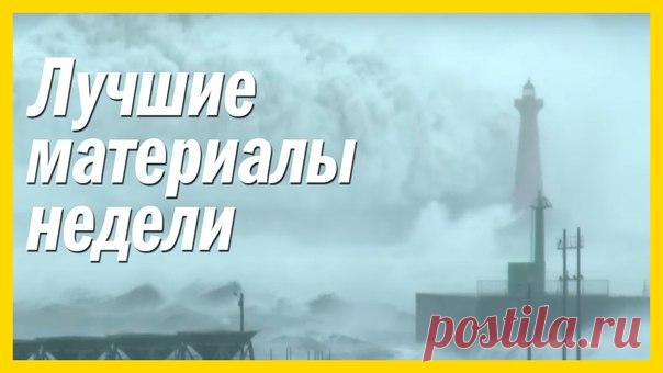 Подборка лучших материалов за неделю — лучшее чтиво на вечер. 1. Видео. Землетрясение в Новой Зеландии сделало дно океана сушей: 2. Видео. Нападение мурены на осьминога: 3. Видео. Огромные волны накрывают 23-метровый маяк: 4. Мумия двух крокодилов оказалась окружена 50 детенышами: 5. В небе над местами сейсмической активности иногда появляются яркие огни, похожие на полярное сияние. Ученые пытаются понять, почему: