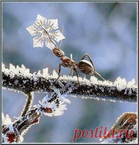 Мой Мир@Mail.Ru