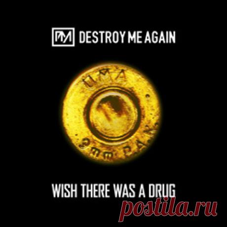 Destroy Me Again - Wish There Was A Drug (Single) (2026) 320kbps / FLAC